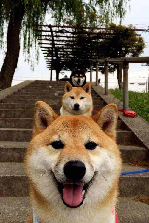 国足战术风格标签与比分对应关系分析，国足评分标准