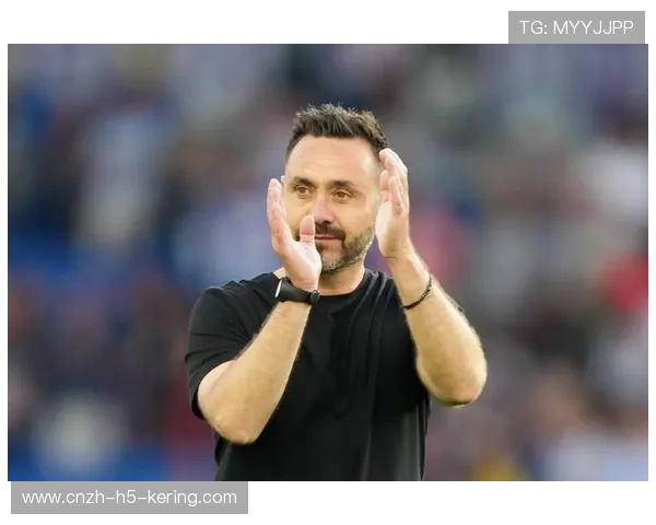 布莱顿的欧战首秀:德泽尔比的挑战与机遇,德布莱尔门窗有限公司 布莱顿的欧战首秀:德泽尔比的挑战与机遇,德布莱尔门窗有限公司